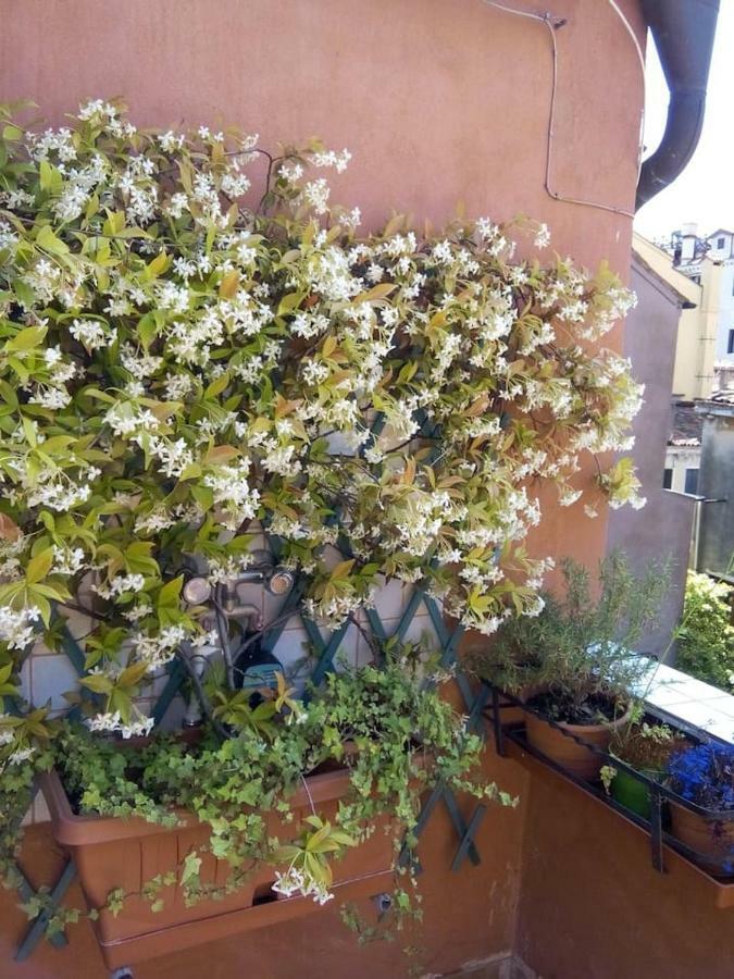 Ca' San Silvestro 2 Terrazze Nel Cuore Di Venezia Eksteriør billede